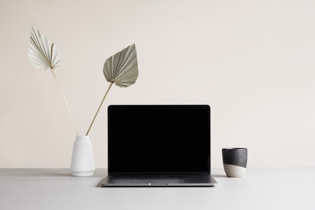 Scandi Design Co. WordPress Website Management