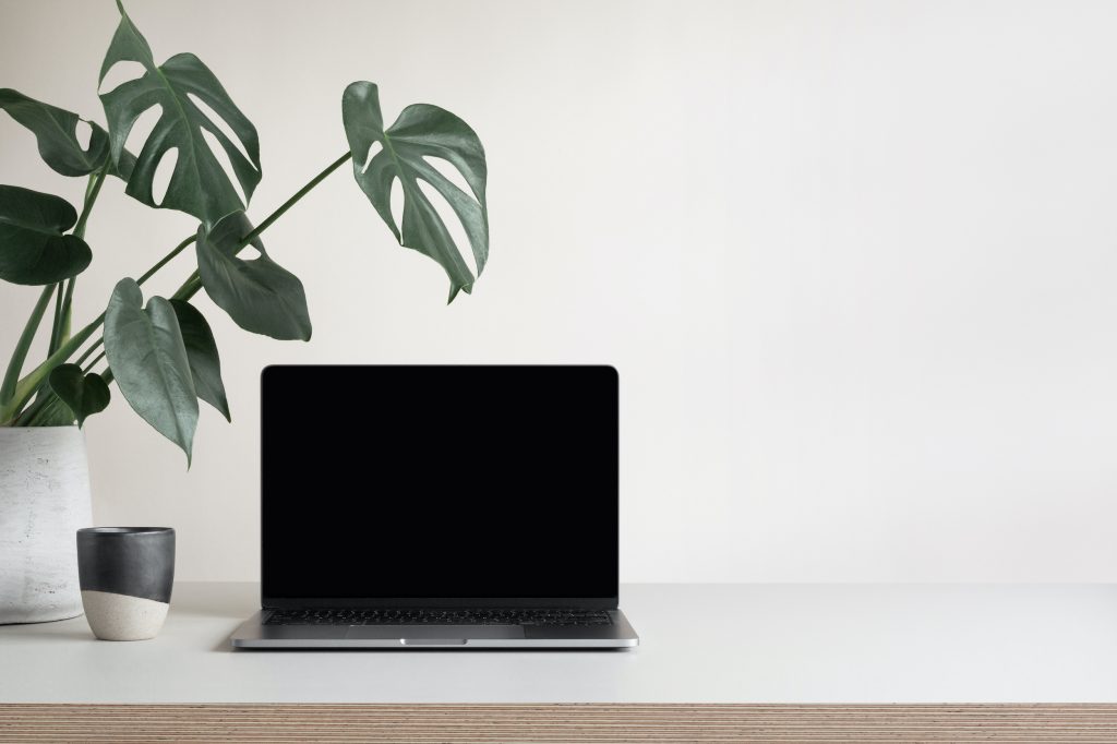 Scandi Design Co. Web Design & Development